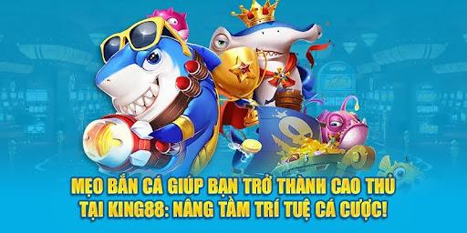 Hướng dẫn chi tiết cách tiki tra hang nhanh chóng và hiệu quả