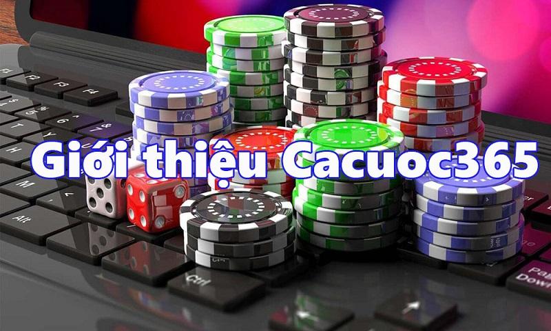 Khám phá bongda com vn với tin moi nhat cực hấp dẫn về bóng đá hôm nay